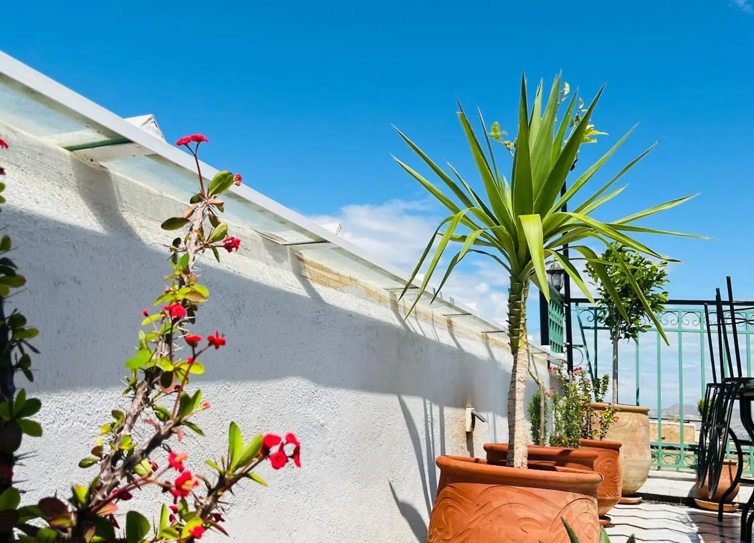 Hotel Riad Fes Miracle